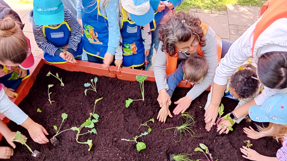Mehrere Kinder stehen neben einander vor einem Hochbeet, in dem kleine grüne Stecklinge aus der Erde schauen. Sie bedecken die Setzlinge mit Erde.