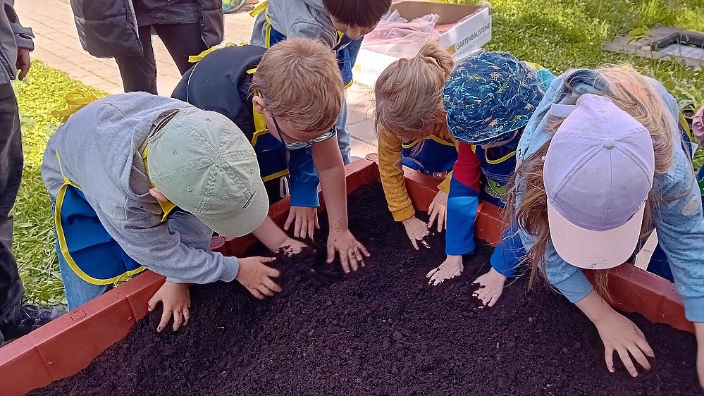 Mehrere Kinder beugen sich über ein Hochbeet und graben mit den Händen in der Erde.