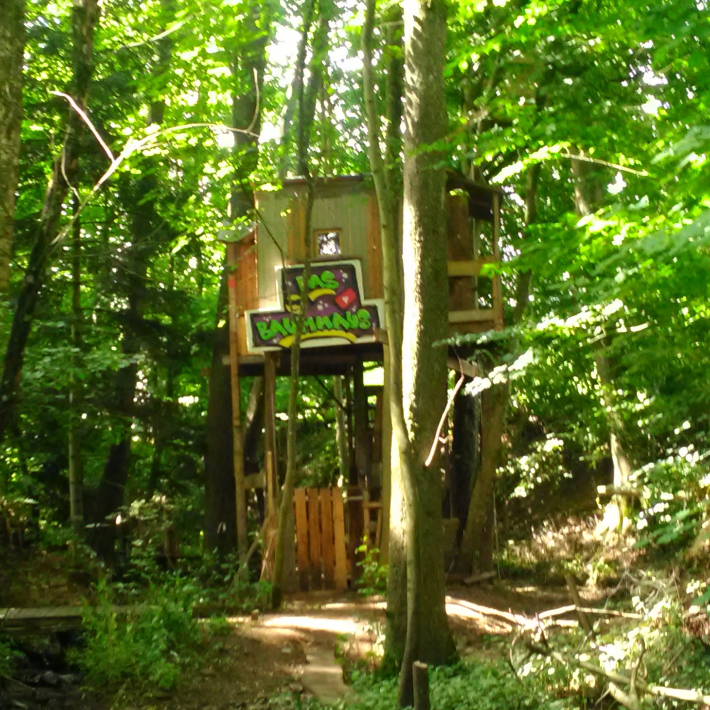 Ein Baumhaus mitten im Wald