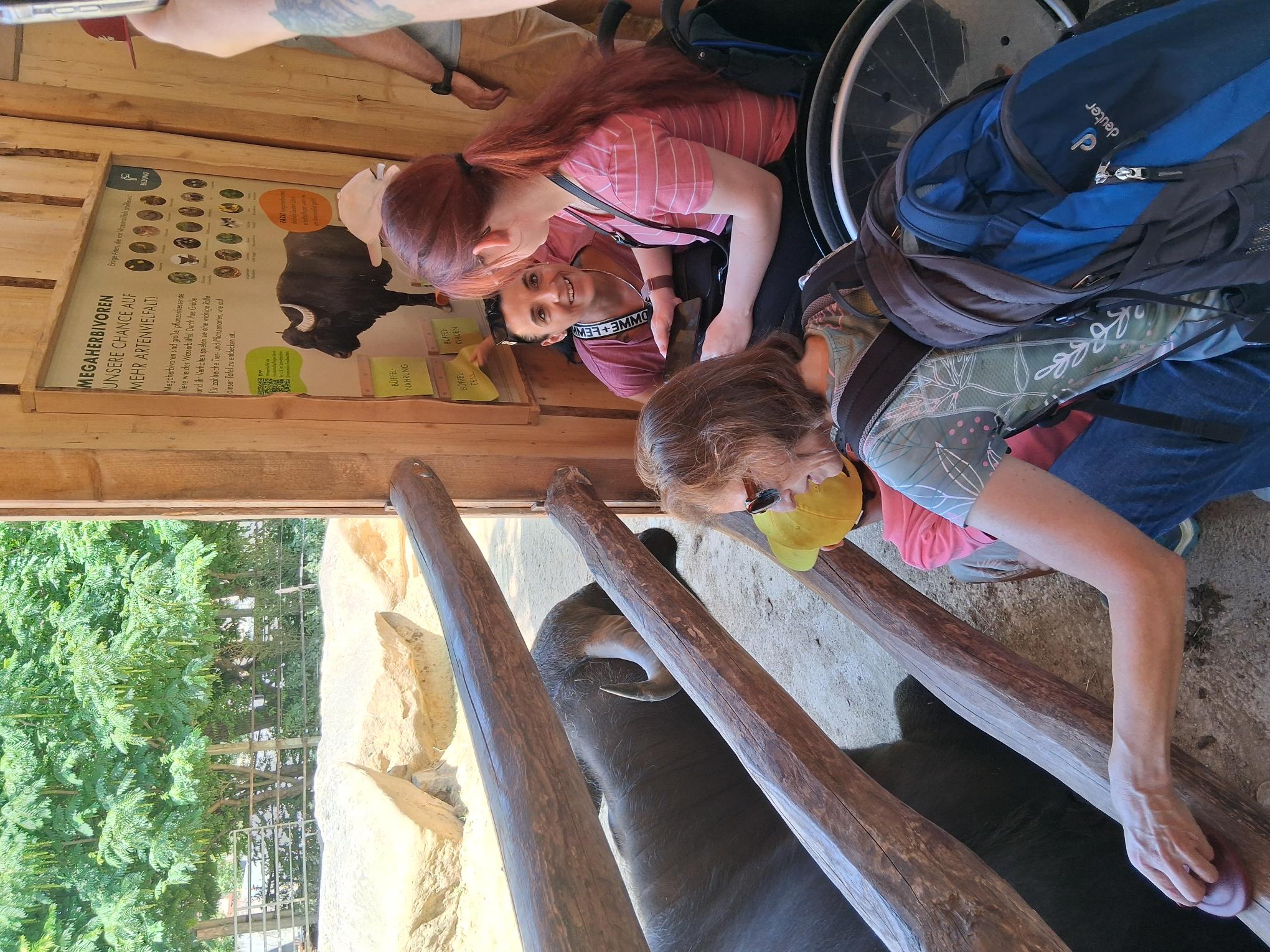 Zwei Frauen und zwei Kinder im Rollstuhl sind im Zoo und stehen an einem Gehege. Hinter den Gitterstäben ist ein Büffel zu erkennen